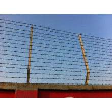 China Best Selling High Quality Barbed Wire